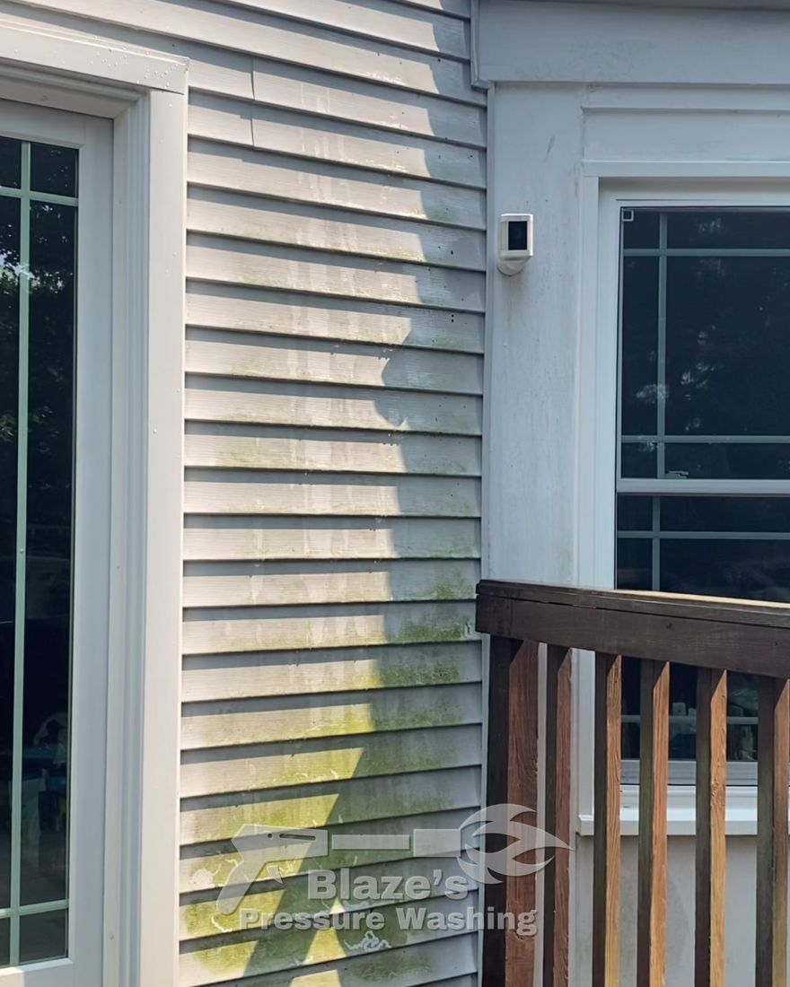 House siding soft wash Reston VA - before, green algae