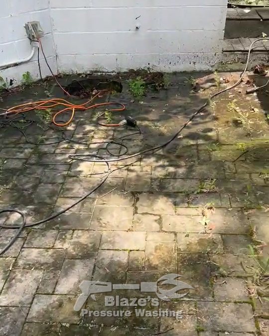 Paver terrace cleaning Reston VA - before, moss and weeds