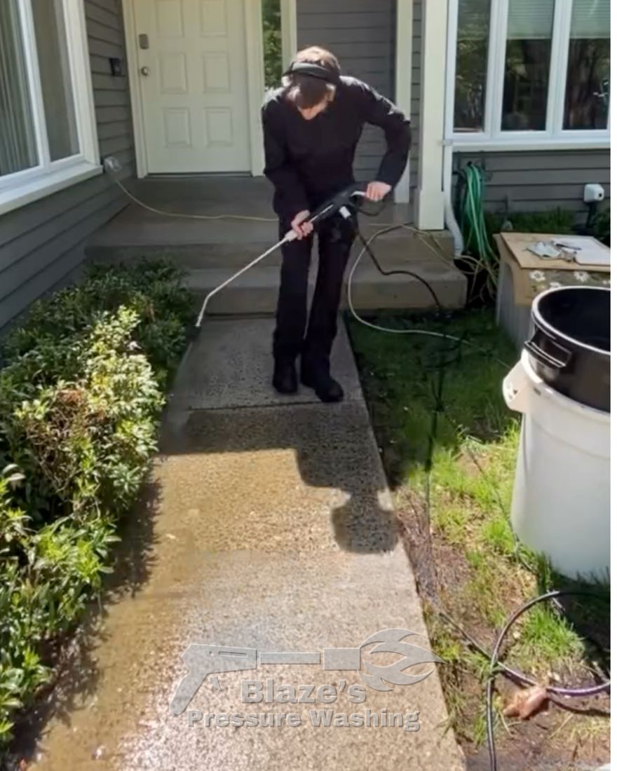 Concrete walkway cleaning Reston - before pressure washing